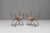 Pair of steel framed curule chairs with hide seats and worn original paint finish. Circa 1930.