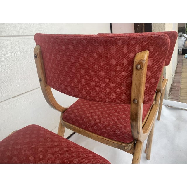 Dining Chairs from Zakłady Mebli Giętych Radomsko, 1960s, Set of 4 For Sale - Image 6 of 18