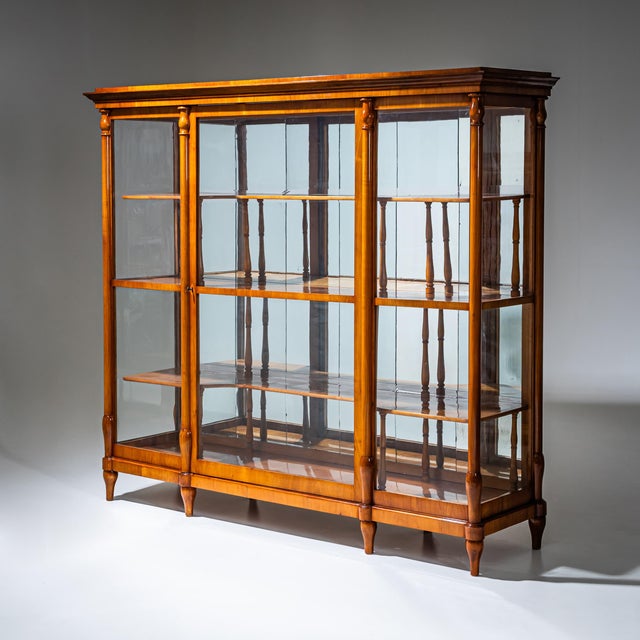 Biedermeier Display Cabinet, 1830 For Sale - Image 10 of 10