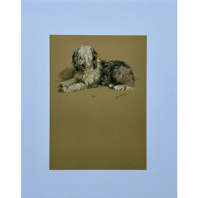 Original print by British painter and printmaker Lucy Dawson (1875–1954), known for her animal portraits, specifically...
