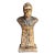 Vintage Patinated Plaster Military Officer Bust For Sale
