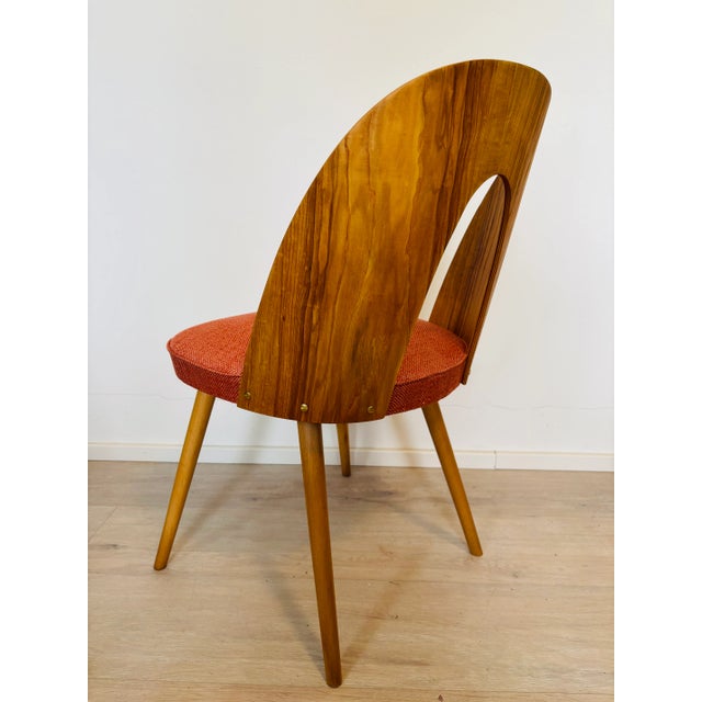 Mid-Century Dining Chair from Antonin Suman, Czechoslovakia, 1960s For Sale - Image 6 of 12