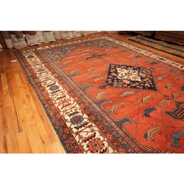 Geometric Fire: Antique Persian Serapi Rug with Cerulean Corners, Country of Origin: Persia, Circa Date: 1900