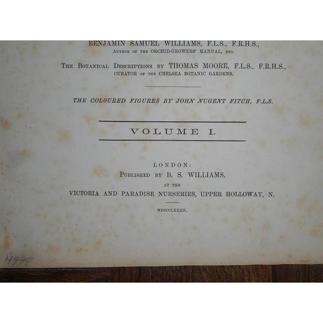 Antique 19th Century Orchid Lithographs-Set of 3 For Sale In Cincinnati - Image 6 of 7