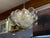 Design Plus Gallery presents the Talia Chandelier by Julie Neill for Visual Comfort. The lighting fixture has artisanal...