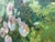 Alexandre Guelle, Flower Garden, 1911, Oil Painting on Canvas, Framed For Sale - Image 14 of 18