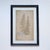 Green Pair of Framed Swiss Herbarium Fern Facsimile Prints, 1948 & 1953 Specimens For Sale - Image 8 of 8