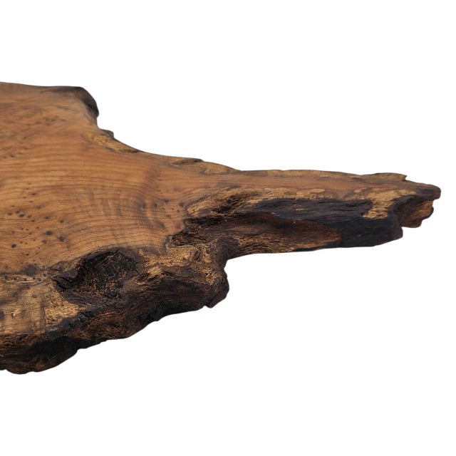 Japanese Bonsai Stand Organic Modern Wood Burl Shou Sugi Ban16" For Sale - Image 4 of 10