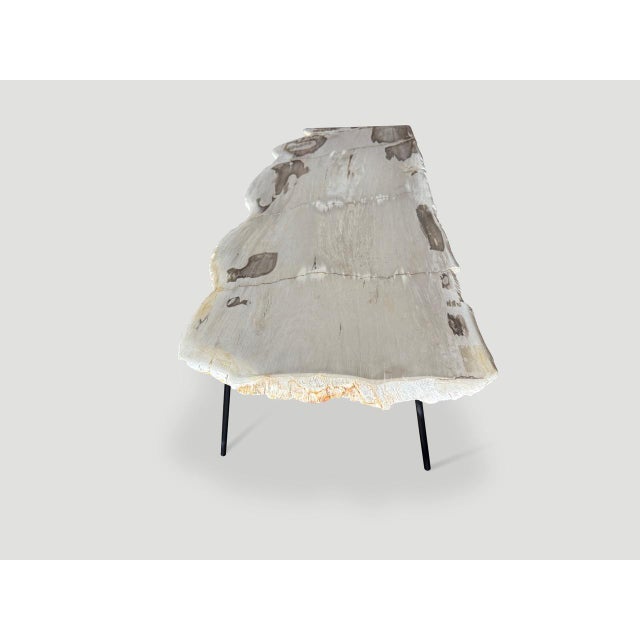 Andrianna Shamaris Minimalist Live Edge Petrified Wood Coffee Table For Sale - Image 4 of 18