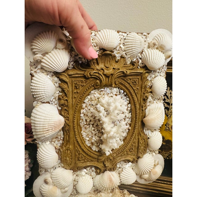 This captivating mixed-media artwork transforms an antique frame mold into a stunning coastal reliquary—an elegant fusion...