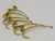 Mid-Century Curved Brass Wall Coat Hook from Werkstätte Hagenauer Wien, 1950s For Sale - Image 12 of 13