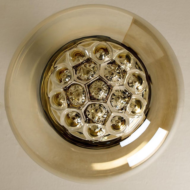 Glass Smoked Golden & Brown Pendant Lights by Peill & Putzler, 1960s, Set of 2 For Sale - Image 7 of 16