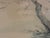 Late 20th Century Late 20th Century Hope Everson - Tree and Bird, Watercolor on Paper For Sale - Image 5 of 10