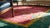 Textile 1920s Pink Floral Antique Antique Chinese Rug by Nichols Workshop 8' 9"x 11' 4" Handknotted Wool Carpet For Sale - Image 7 of 9