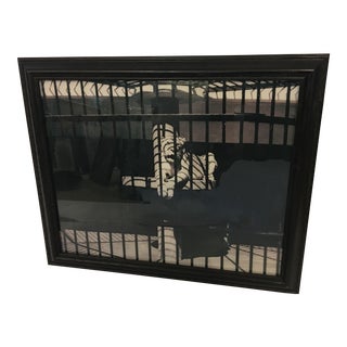Hadassah Zuberi Lioness at the Zoo Photo For Sale