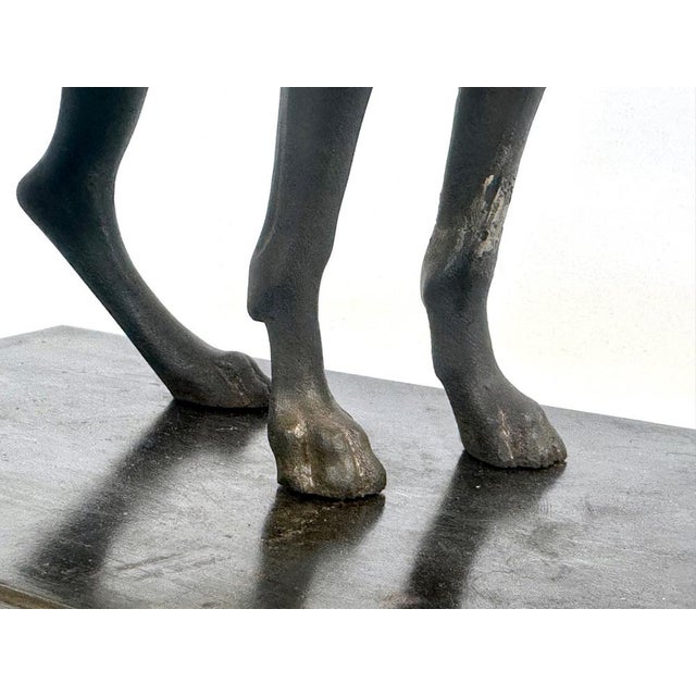 French Cast Iron Greyhound Figurine, 1900s For Sale - Image 5 of 17