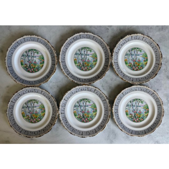 Set of 6 vintage bone china salad plates made in England by Royal Albert in the "Silver Birch" pattern. The plates feature...
