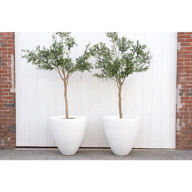Pair of garden planters handcrafted from Karoli sandstone. These planters features an elegant and smooth rounded shape....