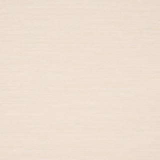 Schumacher Horizon Grasscloth Vinyl Wallpaper In Pearl For Sale