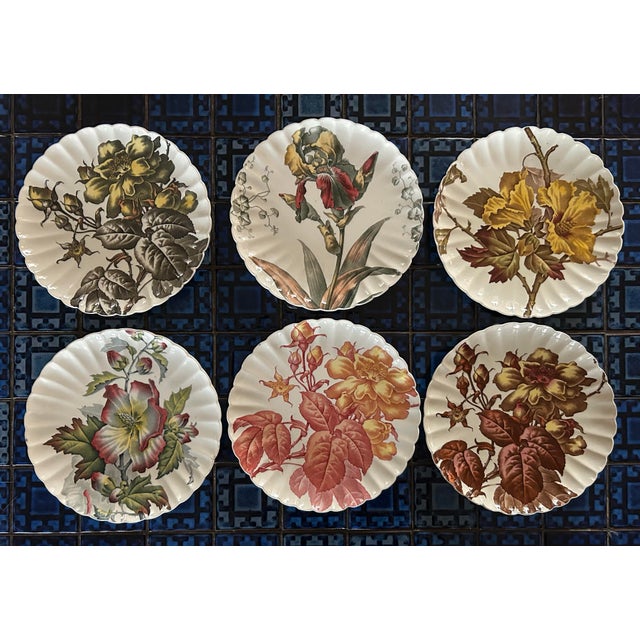 Stunning set of rare 1880’s botanical transferware 8.5” salad plates by TC Brown, Westhead, Moore & Co. Features beautiful...