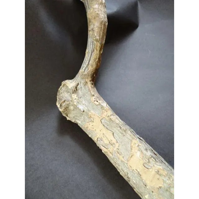 Metal Late 20th Century Folk Art Cane, Scepter or Staff of Office With Horse Head and Hoof For Sale - Image 7 of 8