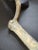 Metal Late 20th Century Folk Art Cane, Scepter or Staff of Office With Horse Head and Hoof For Sale - Image 7 of 8