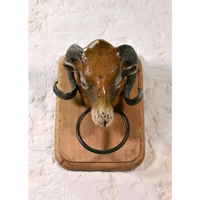 Antique French Rams Head from Butchers Shop, 19th Century For Sale - Image 9 of 9