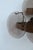 Brown 1970 Vistosi Murano Wall Light Smoked Disc - Set of 2 For Sale - Image 8 of 11