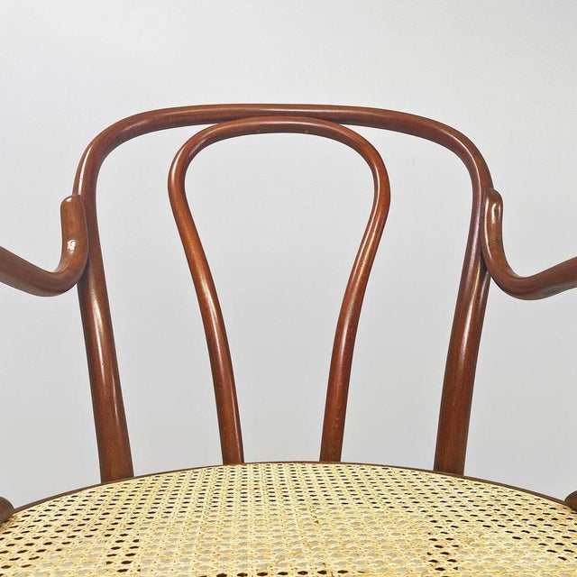 Brown Set of Mid-Century Italian Beech Wood and Vienna Straw Chairs from Thonet, 1950s For Sale - Image 8 of 16