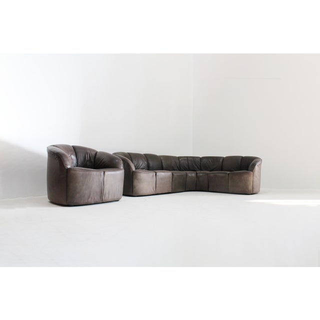 Vintage Piccolino Modular Sofa and Lounge Chair in Leather by Walter Knoll, 1960s, Set of 5 For Sale - Image 3 of 12