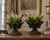 A handsome pair of antique cast iron garden urns of classical form, each with a deeply fluted, oval bowl and dramatically...