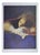 Alessandro Kokocinski, Night Dreams, 1990s, Lithograph For Sale