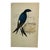 Antique Hand Tinted Bird Print From England Featuring a Blue & White Martin - Circa 1880 For Sale