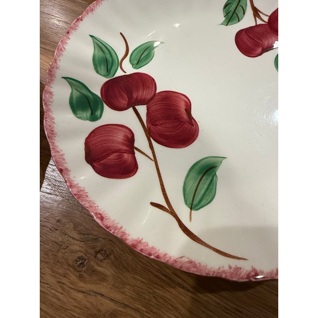 Mid-Century Modern 1950s Blue Ridge Apple Dinner Plates Set of 5 For Sale - Image 3 of 8