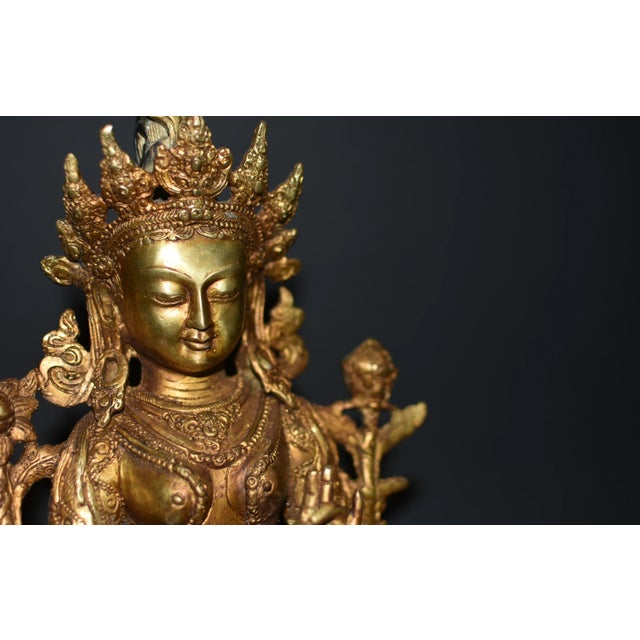A beautiful gilt bronze statue of Tibetan Green Tara. The Goddess is seated in lalitasana on an elaborately incised...