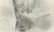 Lilian M. Medland, Peregrine Falcon, 1908, Monochrome Ornithological Plate For Sale - Image 6 of 9