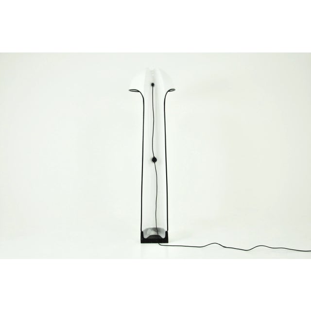 Alba Floor Lamp by Sergio Brazzoli & Ermanno Lampa for Guzzini, 1960s For Sale - Image 9 of 15