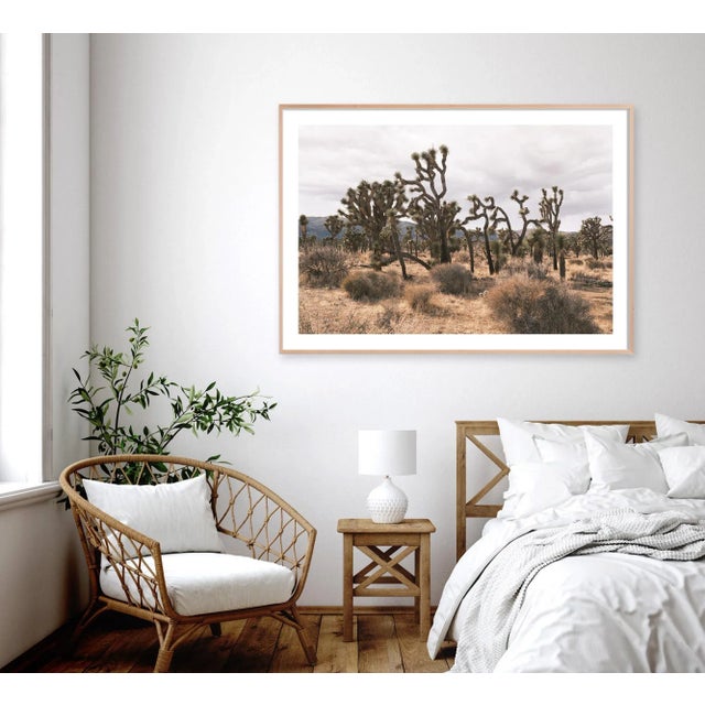 This incredible formation of Joshua Trees is captured in muted, vintage color tones. Unframed photograph on 100% cotton...