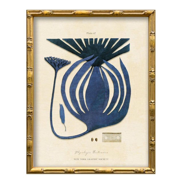 This is the full set of 4 famed giclee prints from our "Vintage Seaweed" series in blue. Save on shipping by ordering all...