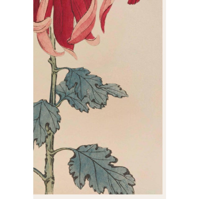 Not Yet Made - Made To Order Asian Floral Giclee, Vintage Japanese Red Botanical Art Print, 16" X 24" For Sale - Image 5 of 9
