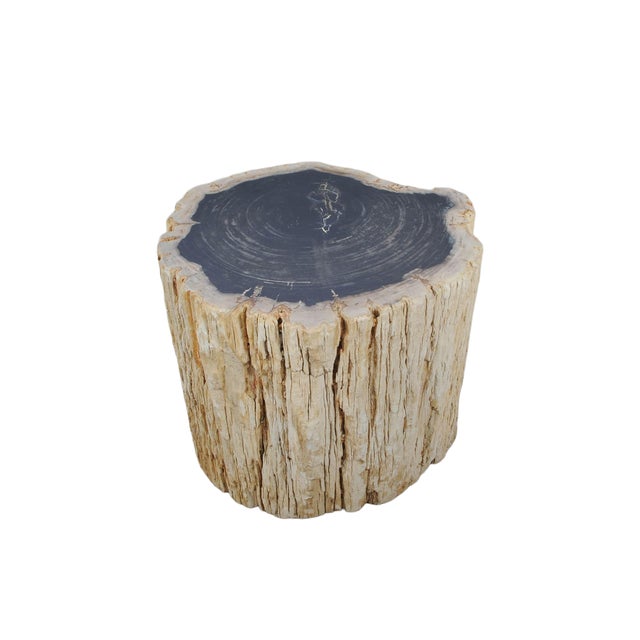 Stone Large Petrified Wood Side Table by Xyleia Petrified Wood For Sale - Image 7 of 7