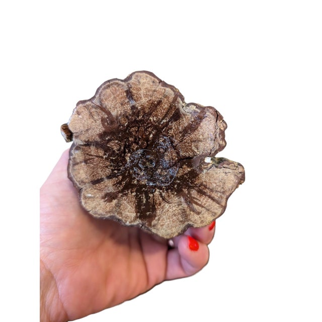 Vintage Hand-Carved Wabi-Sabi Chrysanthemum Wood Vase For Sale - Image 9 of 11