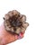 Vintage Hand-Carved Wabi-Sabi Chrysanthemum Wood Vase For Sale - Image 9 of 11