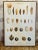 Vintage Botanical Danish Seed Catalog Lithograph Poster No. 6, New Old Stock For Sale - Image 11 of 12