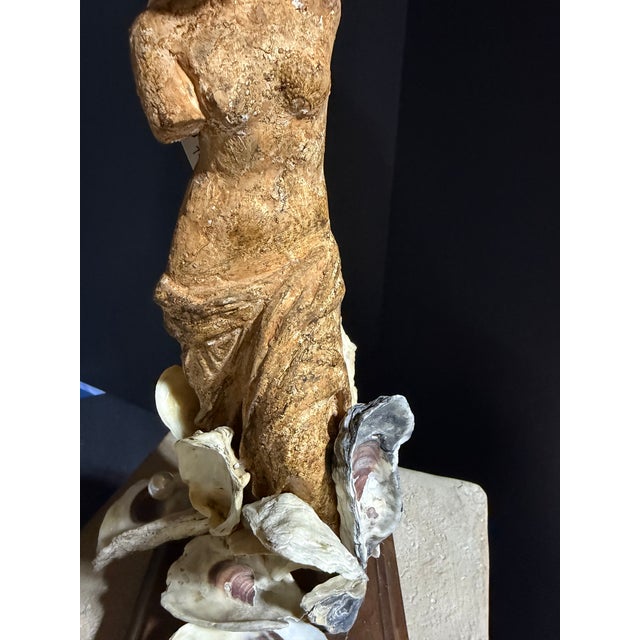 2020s Celestial Meets the Sea-Shell Encrusted Statue-Coastal Art Sculpture For Sale - Image 5 of 8