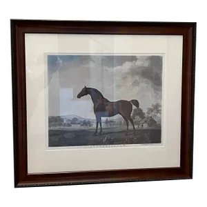 Antique Equestrian Sporting Print : ‘Sweet William’