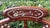 Chinese rosewood corner chair. Beautifully formed, sculptural chair with detailed mother-of-pearl inlay of floral and...