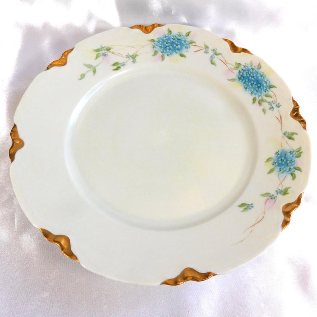 Contemporary 1950s Thomas White Dinner Plate With Blue Flowers For Sale - Image 3 of 5