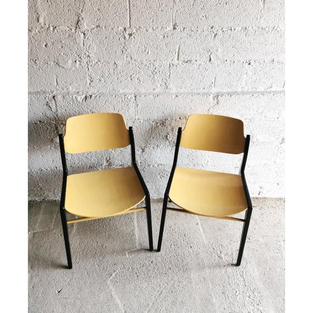 Mid-Century Modern Chairs from Wilkhahn, 1950s, Set of 2 For Sale - Image 10 of 12