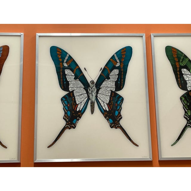 Mihele Astolfi, Blue Butterfly, 2000s, Mixed Media, Framed For Sale - Image 4 of 6